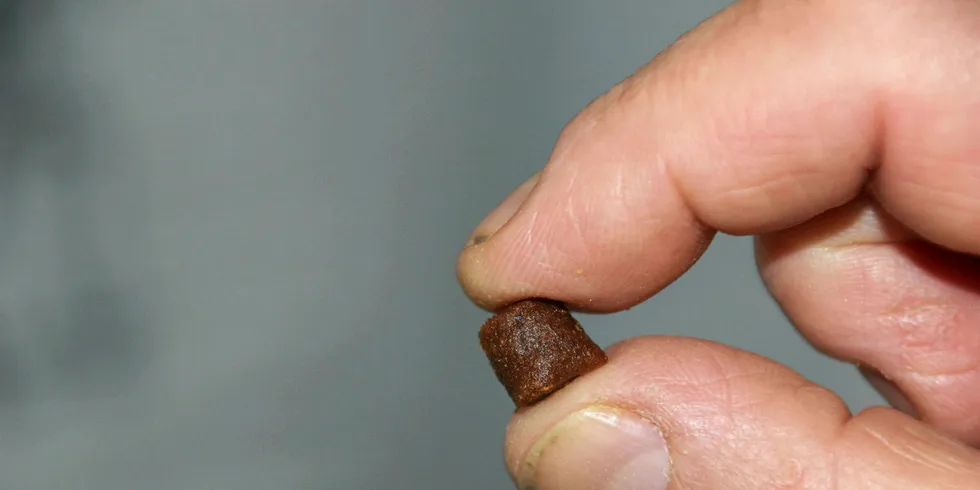 Feed pellet.