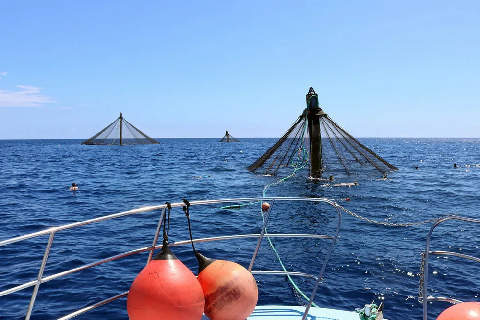 It continues to be a struggle to get offshore aquaculture established in the United States.
