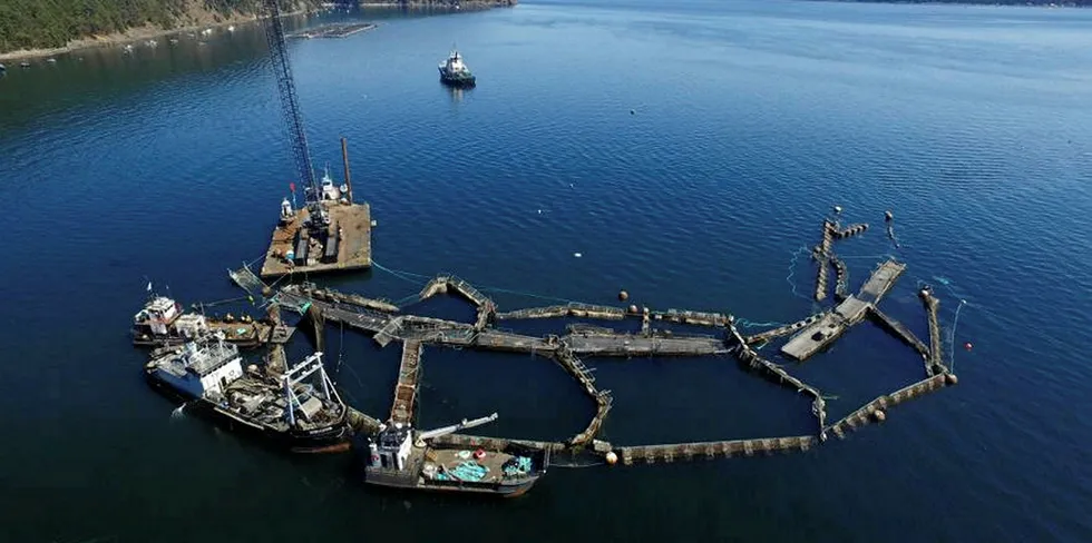 Cooke's plans to farm trout in Washington state has suffered a legal setback.