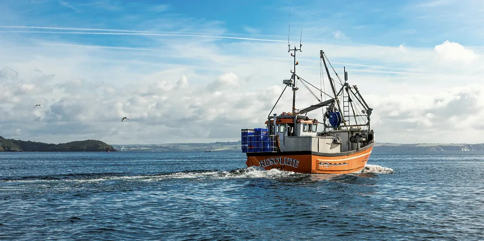 W Stevenson & Sons beam trawler.