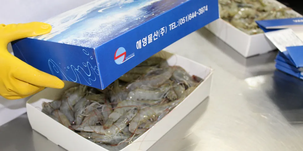 Ecuador has seen relentless growth in shrimp exports to China.
