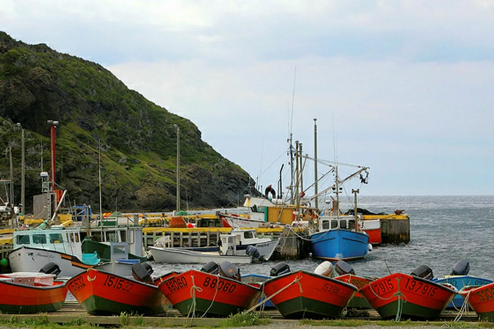 Newfoundland: seismic shoot