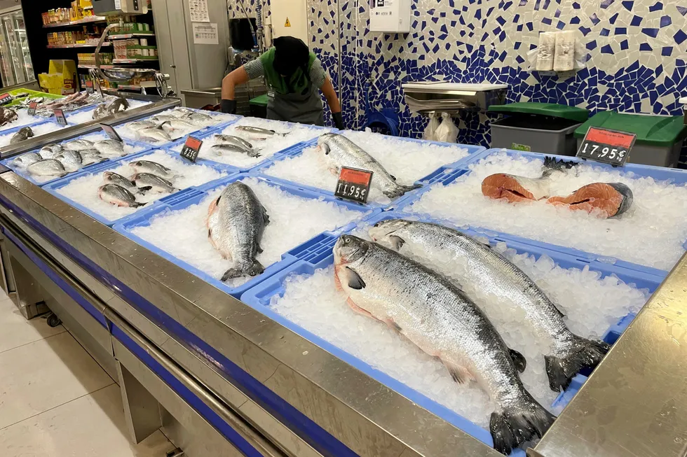 Next week will be a good week for salmon over five kilograms, according to exporters.