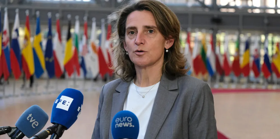 Spanish ecological transition Minister Teresa Ribera Rodriguez.