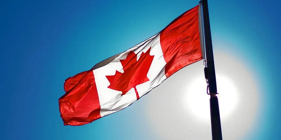 Canadian flags in Canada.