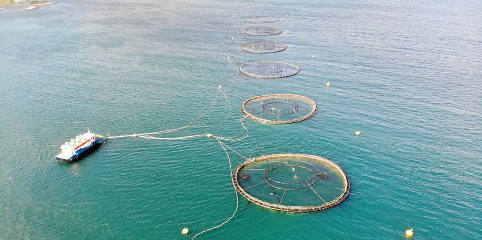 "The weather was unfortunately worse than reported," Mowi Communications Director Ola Helge Hjetland told IntraFish. (The Mowi farm in this photo has no connection with the case).