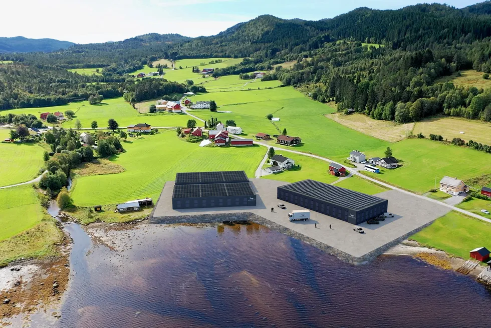 Nordic Halibut is building a new fully integrated land plant for halibut farming in Torjulvagen in Tingvoll Municipality.