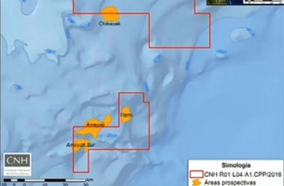 CNOOC Ltd: Laying out plans for drilling in Mexico's Perdido fold-belt