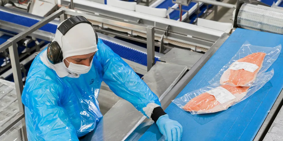 Value-added salmon processing at Camanchaca's facility in Chile.