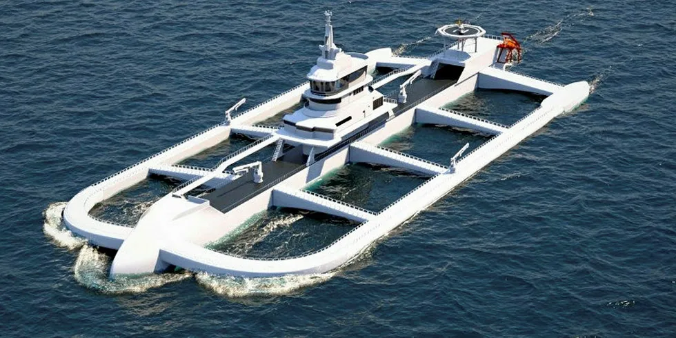 Ocean Arks is in talks with potential producers in the US and Chile, while eyeing Brazil.
