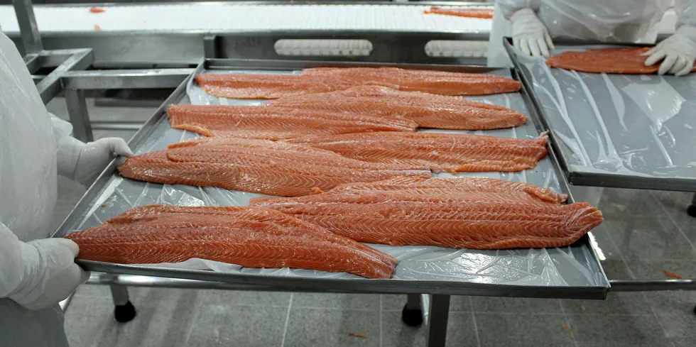Atlantic salmon processing plant.