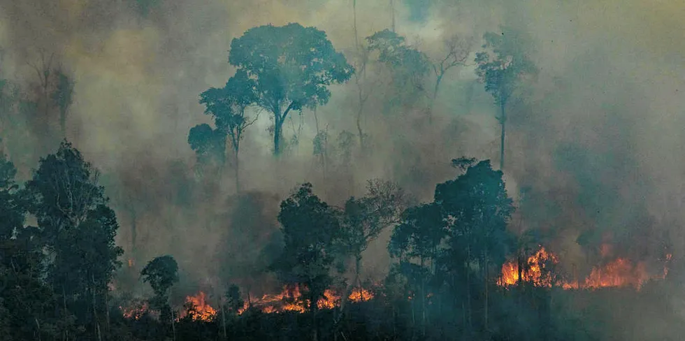 CANDEIRAS DO JAMARI, RONDÔNIA, BRAZIL: Aerial view of a large burned area in the city of Candeiras do Jamari in the state of Rondônia.