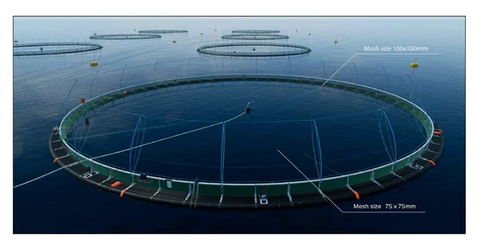 The new farm at Billy Baa will have a capacity of 4,091 metric tons.