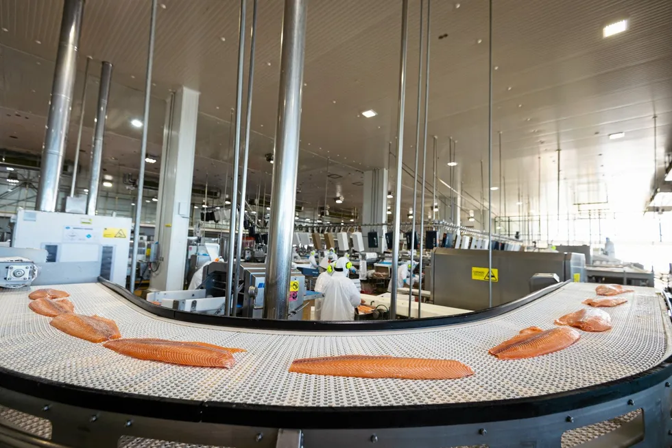 Can Chile salmon exports maintain this growth in 2025?
