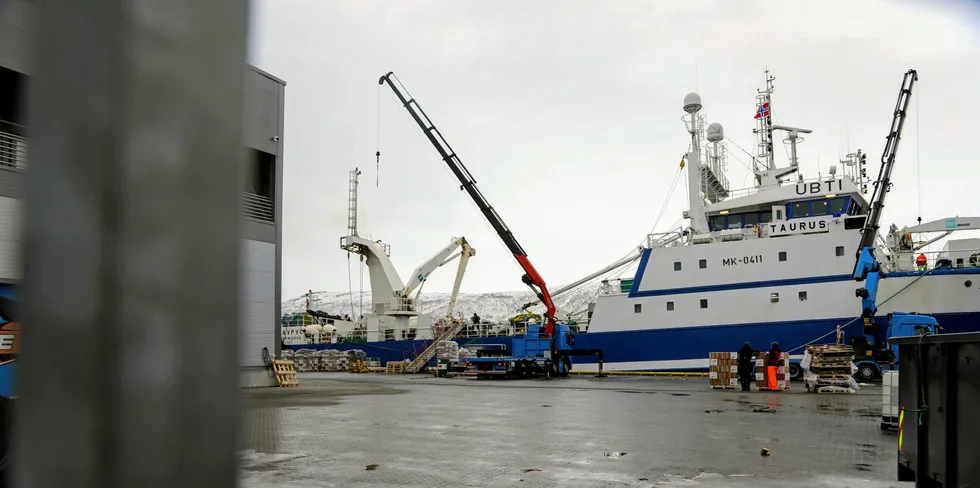 Russian trawler Taurus offloading its catch in Tromso, Norway in March of this year.