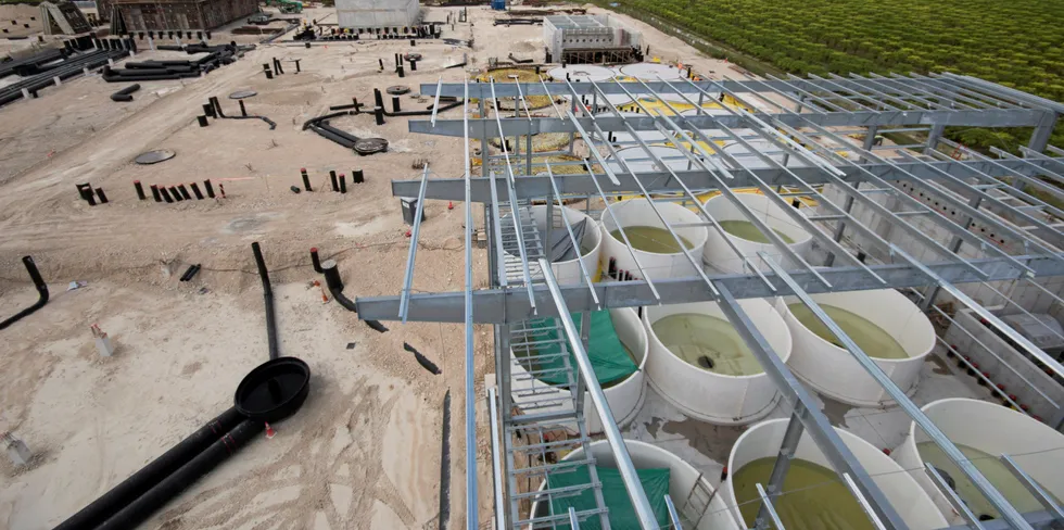 Atlantic Sapphire indirectly claims that Billund Aquaculture is partly responsible for several of the problems the company has had.