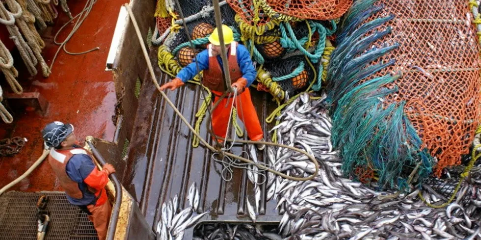 Alaska pollock TAC recommendations are in the process of being made for 2024.
