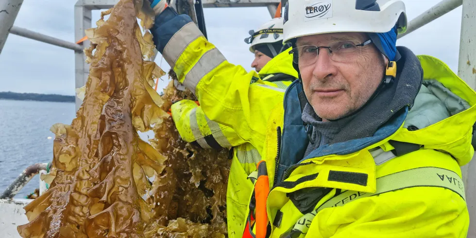 Leroy Seafood spends between NOK 25 million to NOK 30 million annually on developing kelp production, Leroy R&I Manager Harald Sveier said.
