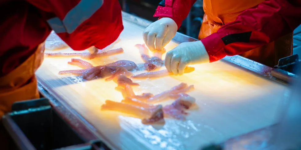 Russian Fishery Company workers processing fish for blocks, a move toward value-adding.