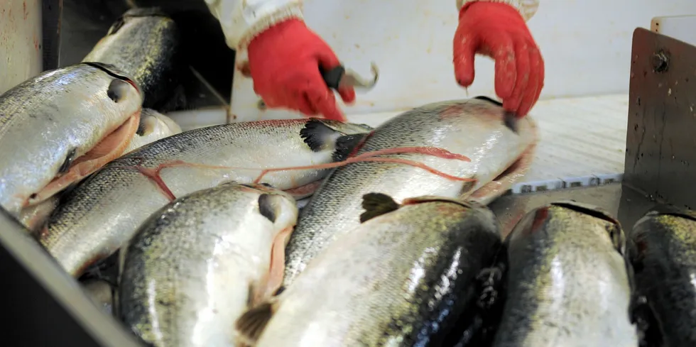 Exporters of Norwegian farmed salmon are seeing inventories pile up as customers seek to cut back purchases from the coronavirus closures.