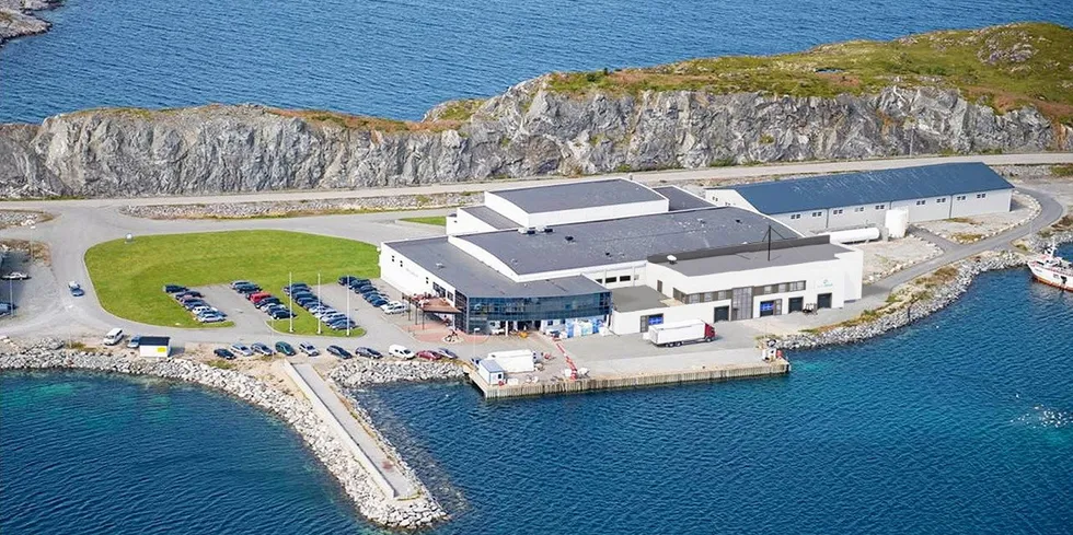 The facility will be ready by mid-2023.