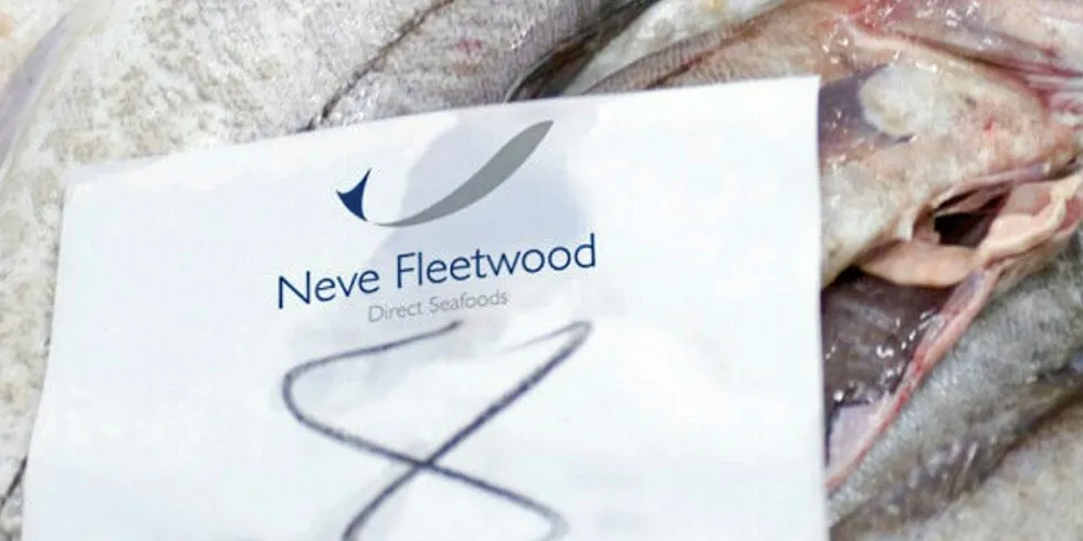 Bidfresh, owner of UK's Direct Seafoods, appointed new directors, the group announced on Companies House.