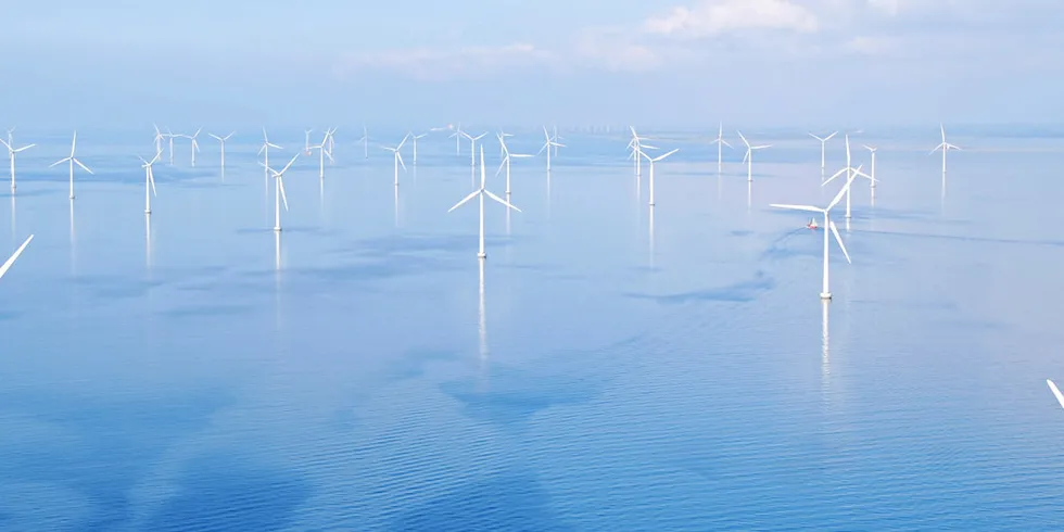 . RWE's Rodsand 2 offshore wind farm in the Danish part of the Baltic Sea.