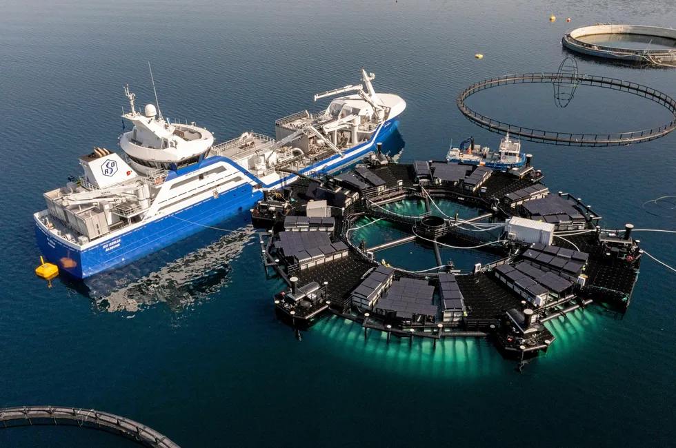 Norway-based thermoplastics firm Bluegreen signed a contract with SalMar in 2022 to develop the Marine Donut closed-containment system.