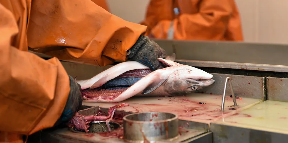 The struggle is real for Alaska salmon processors who are facing an unprecedented labor shortage that is threatening this summer's processing operations.