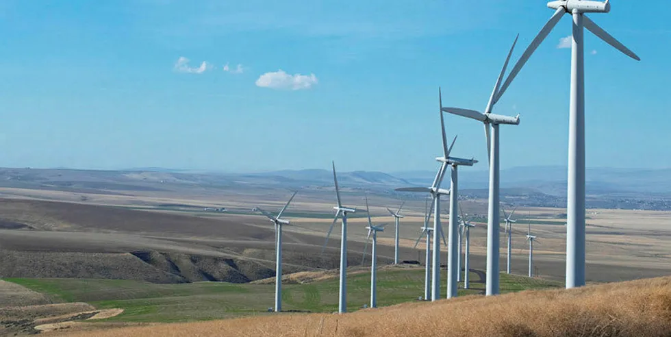 Scout Clean Energy wind farm