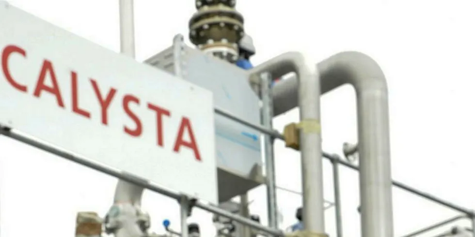 Calysta nabs former PE-investor as COO