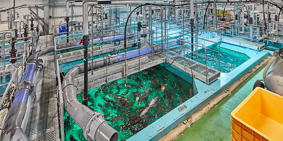 FRD's current pilot land-based farm has been operating since 2018.