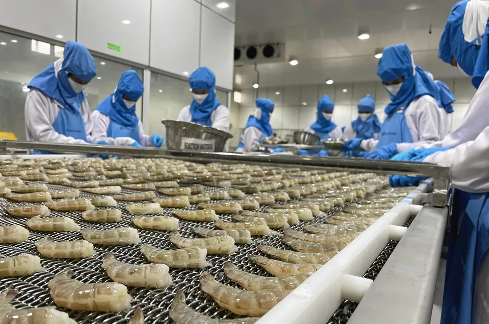 Raw material is sourced from all major farming areas in Andhra Pradesh, which accounts for over half of India’s farmed shrimp production.