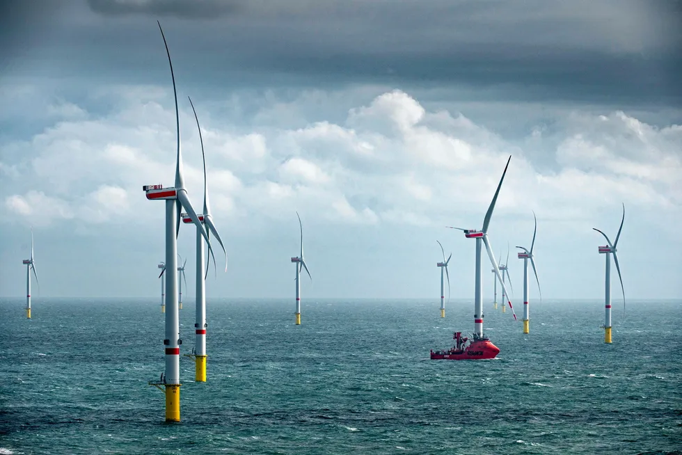 Offshore renewables: the Windstaller Alliance will initially target opportunities in offshore wind but will pursue other offshore renewables projects