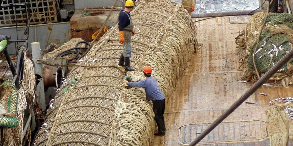 Previously, TINRO projected Russia’s pollock total allowable catch (TAC) would be cut in half over the next five years.