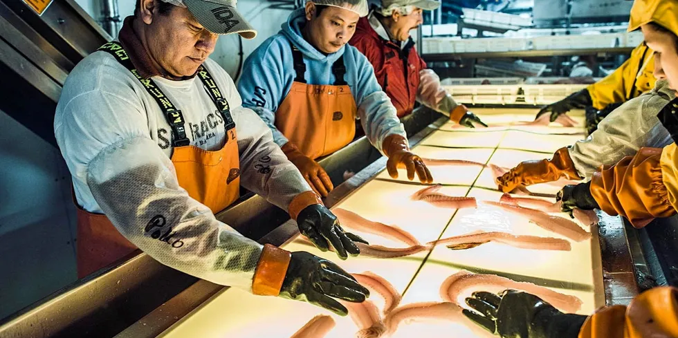 Alaska pollock processing workers aboard the Aleutian Spray Fisheries vessel Starbound. Disruptions in processing in the A season have companies shifting more production to serve deep-skin clients.
