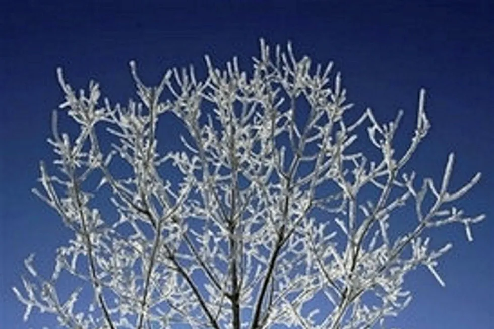 Freeze: seen in North Dakota output
