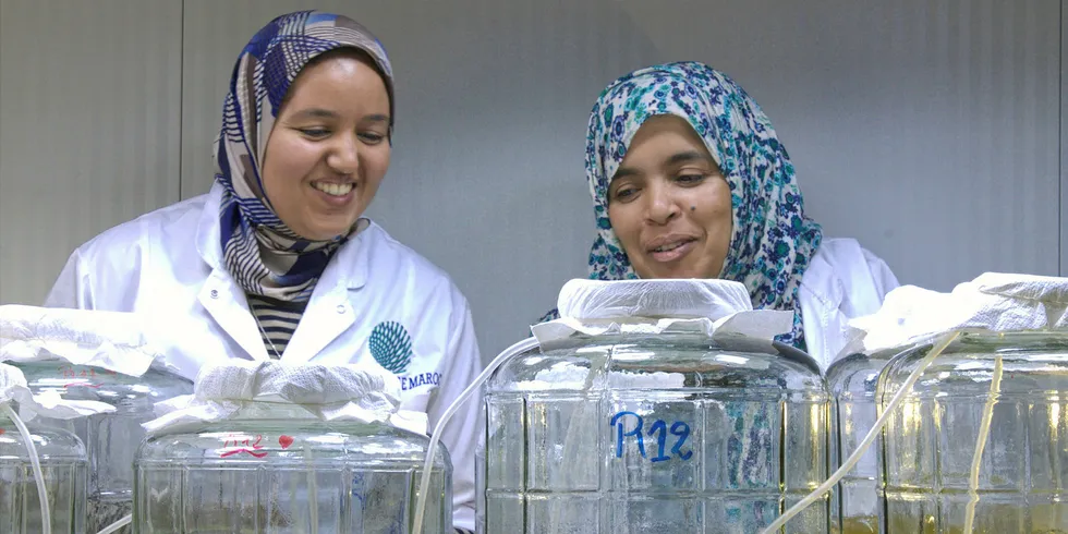SuSeWi process laboratory in Morocco.