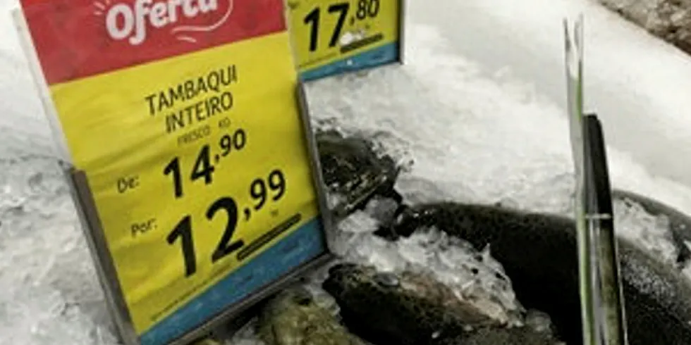 Tambaqui, Pão de Açucar.