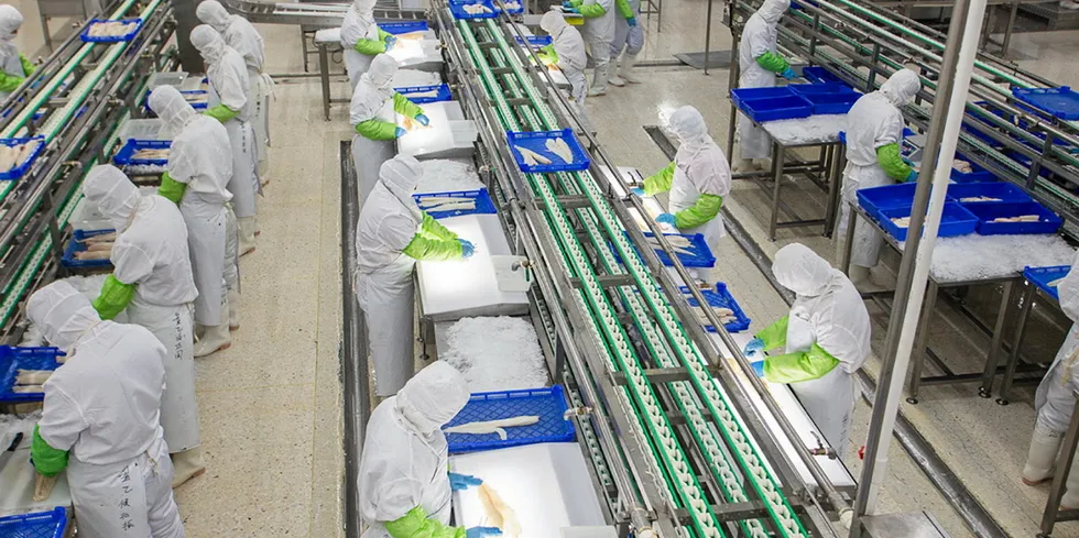 Whitefish Processing