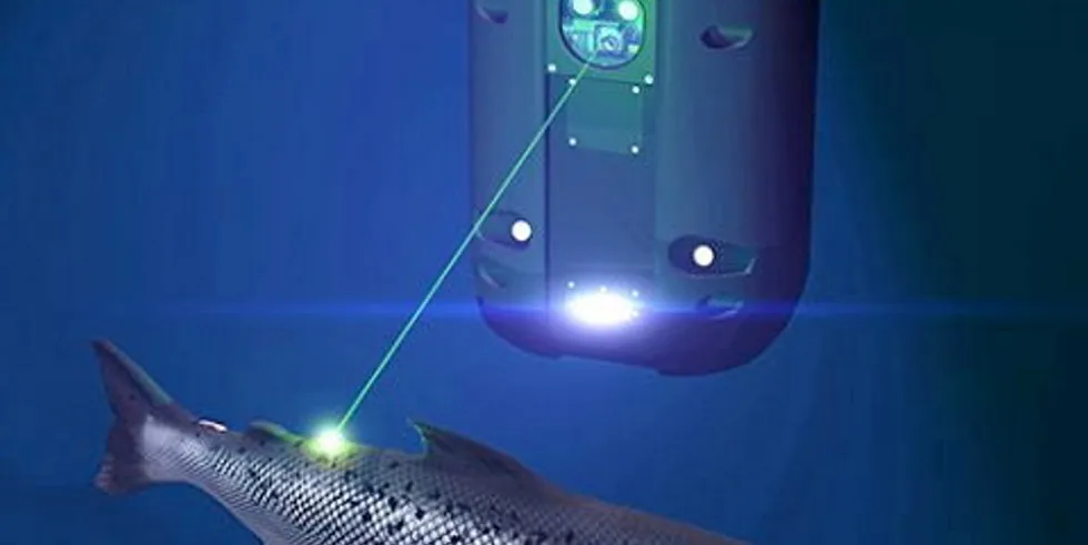 The light lasers are produced by Stingray Marine Solutions who is looking to expand the collaboration with Cermaq significantly in the future.
