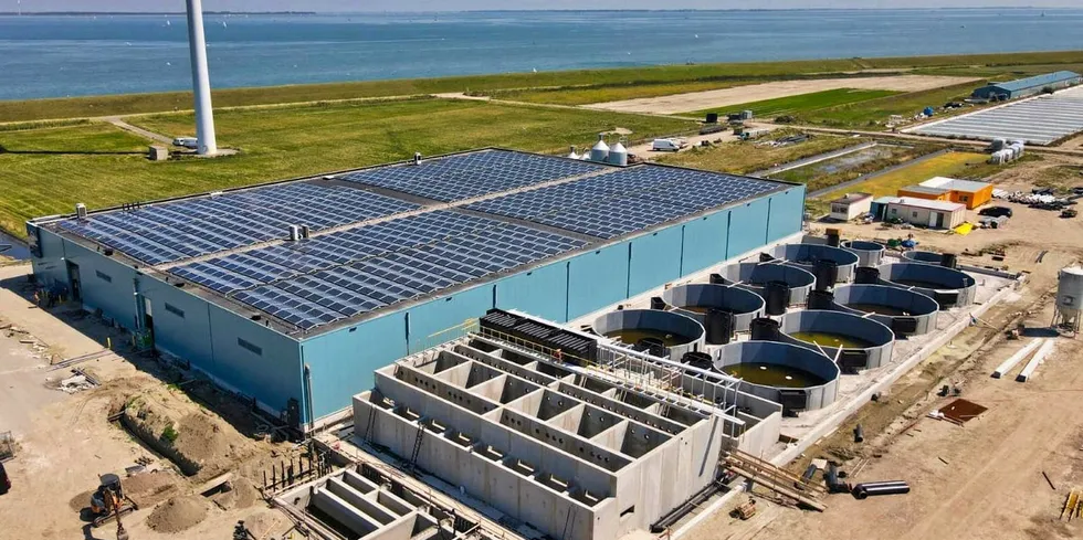 Current expansions in the Kingfish Company's land-based yellowtail facility in the Netherlands.