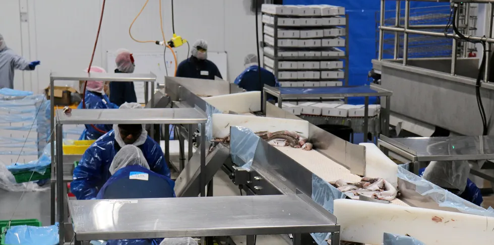 Pacific Seafood has been chosen to fulfill a major USDA contract as groundfish makes more gains with the US federal agency.