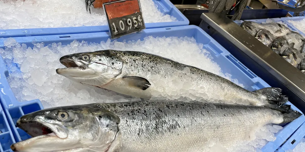 Farmed salmon prices have taken a new upturn after plummeting last week.