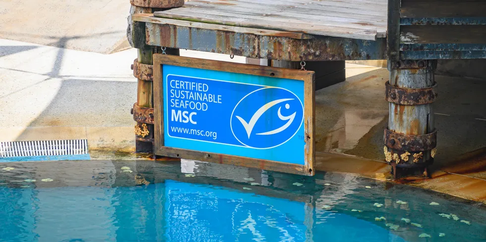 How well the MSC eco label works when it comes to auditing for forced labor is currently under investigation.