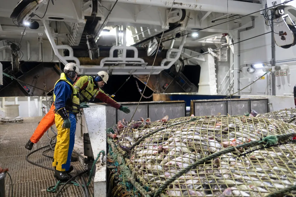 On board the Leroy Havfisk trawler 'Kongsfjord'. Quota cuts have resulted in lower catch volumes but higher prices.