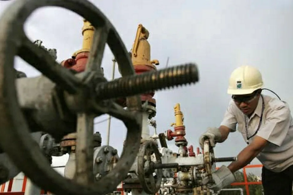 Energy-hungry: Thailand relies heavily on imports and any new discoveries would find an eager domestic market