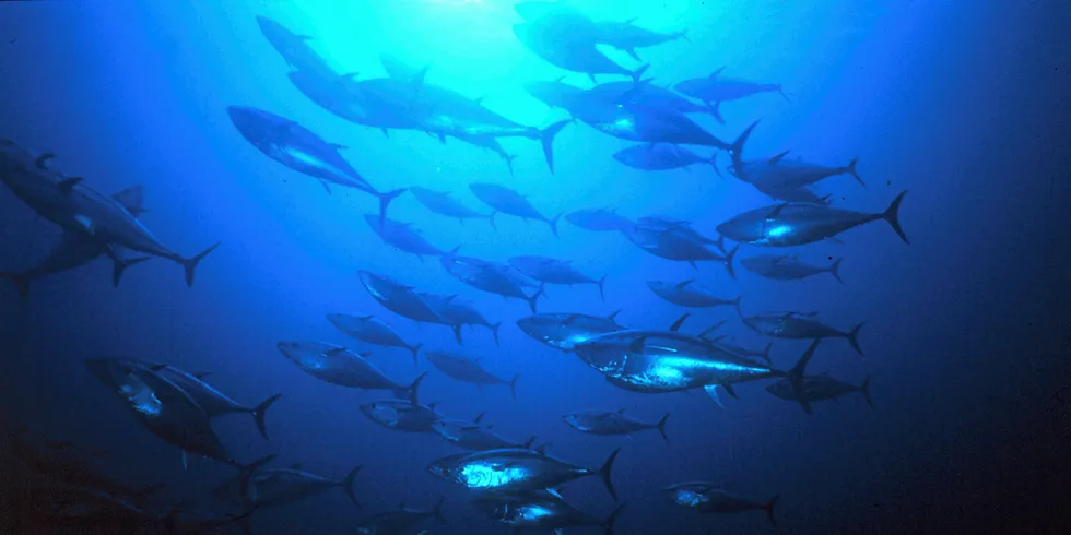 Sustainability solutions head of agenda at Tuna 2018