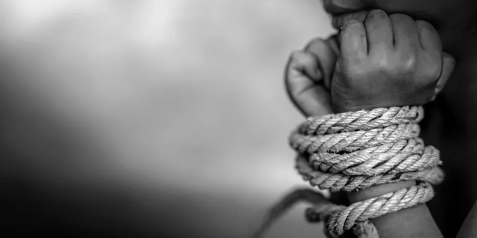 The petition, filed with the US Department of Treasury on Thursday, calls for sanctions against seven Chinese companies accused of using forced labor in their supply chains.