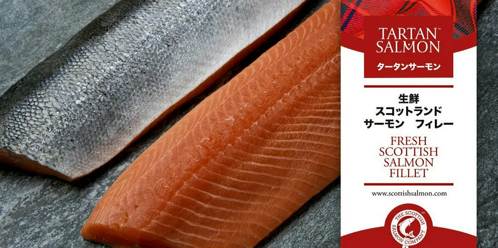 The Scottish Salmon Company Tartan Salmon.